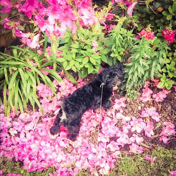 Thank u!!🌸🌷🌺🌹💓💐🍀 - Picture 3 of 4