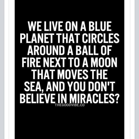 🌺🎀🌺🎀 - Picture 3 of 4