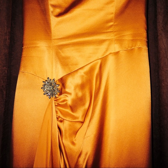 Tiffany designs prom dress - Picture 1 of 4