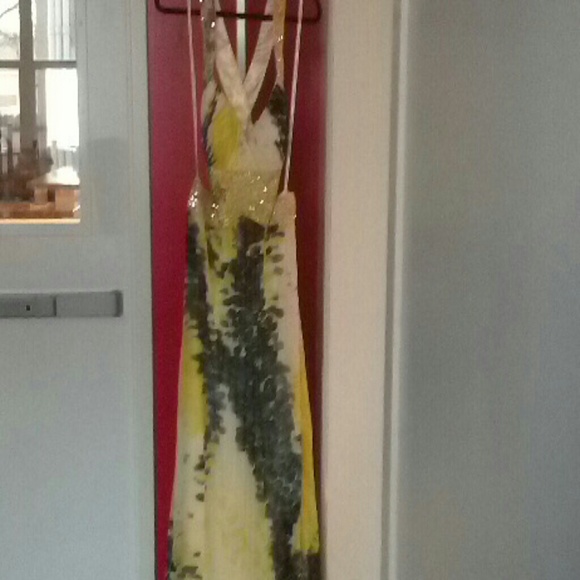 Prom or evening dress.