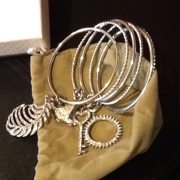 Steel by Design Set of 5 Charm Bangles