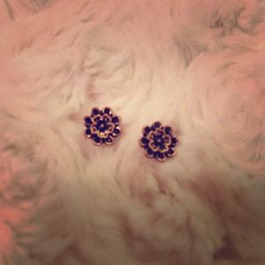 Brand new earrings