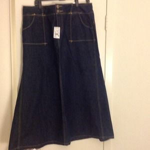 Plus Size Skirt