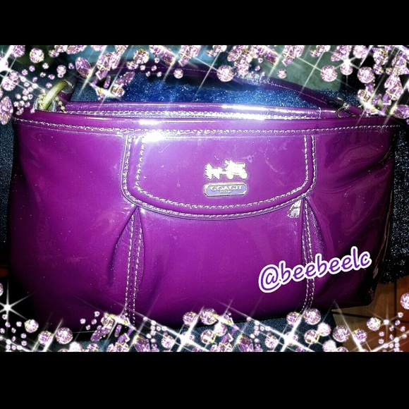 Adorable Small Plum Leather Coach Purse