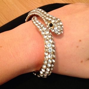 Snake Bracelet