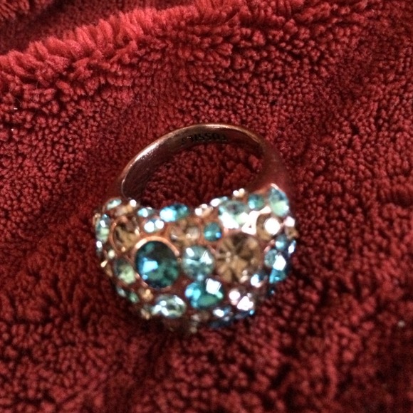 Fossil ring