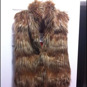 ✨NEW✨ ⚡️REDUCED⚡️ 548 Faux Fur Vest