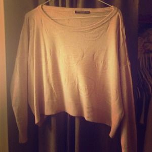 Brandy melville skull cropped sweater