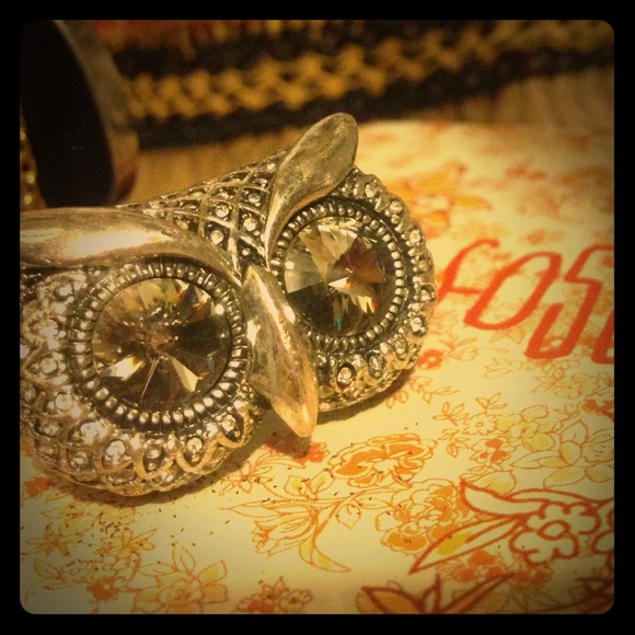 💥Reduced💥 Fossil Owl Ring