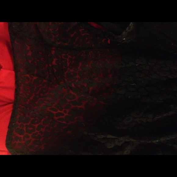 Short Sleeved LBD Leopard Sheer