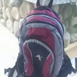 EMS hiking backpack