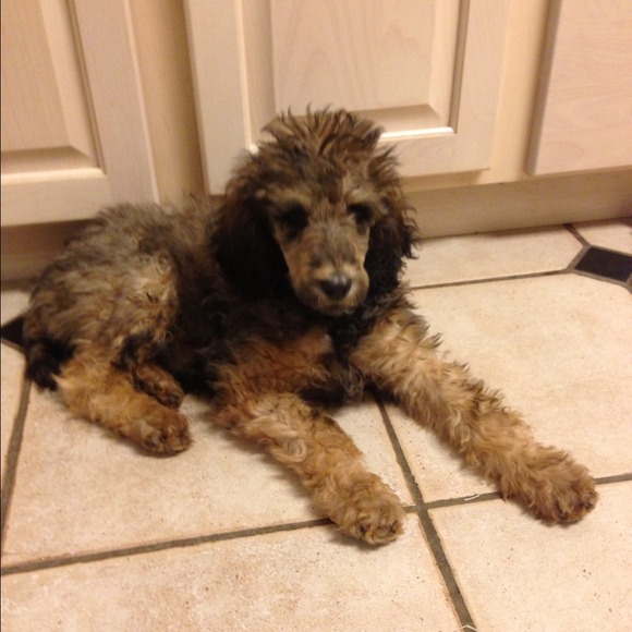 SHARING CURRENT PICS OF OLIVIA