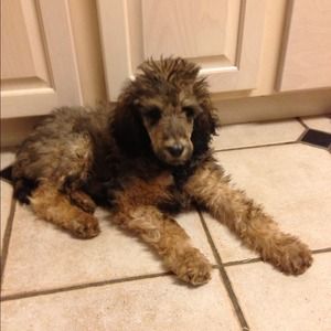SHARING CURRENT PICS OF OLIVIA