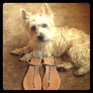 Just Reduced Italian T Strap sandals NWT