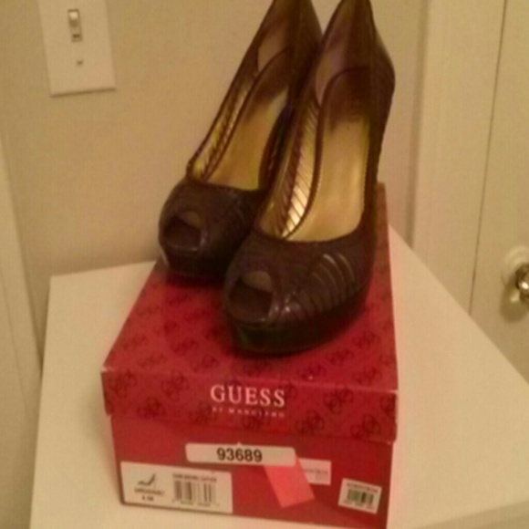 Guess pump