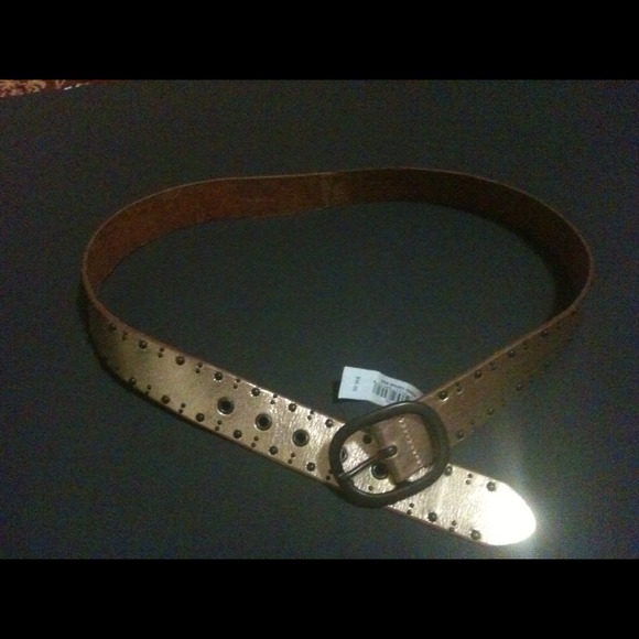 FOSSIL BELT