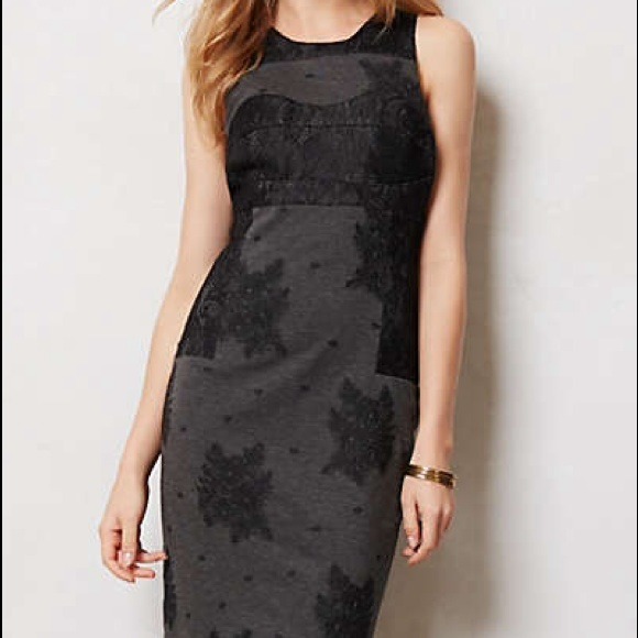 ✨SOLD✨Anthropologie Lace Flocked Column Dress