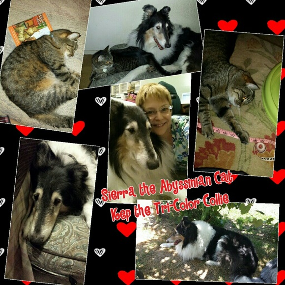 ***POSHTASTIC*** Meet your seller/buyer! - Picture 2 of 4