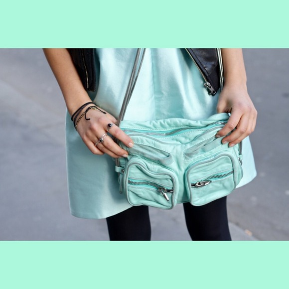 👑HOST PICK👑Alexander Wang Brenda Bag mint green
