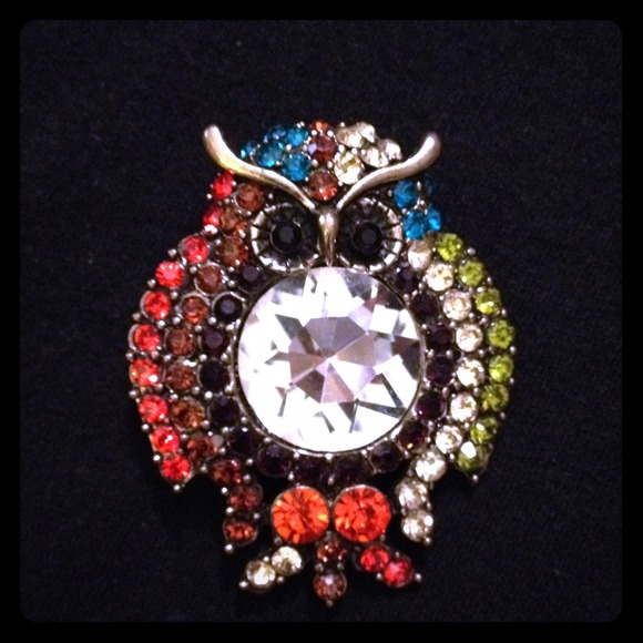 Beautiful owl pin