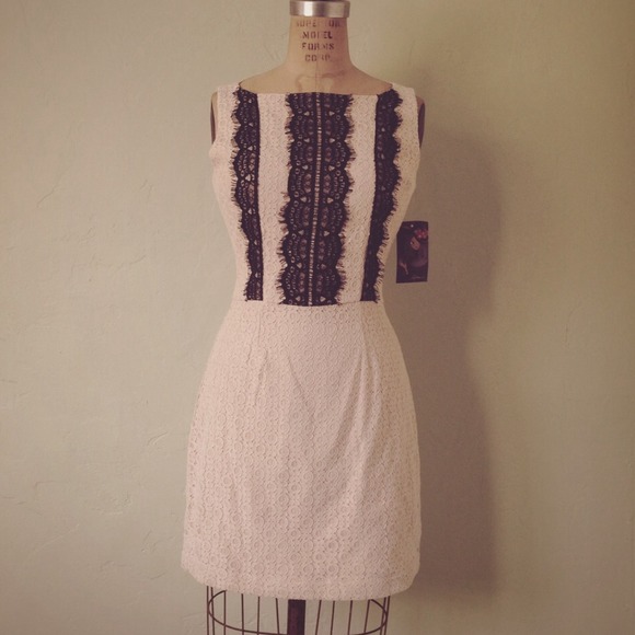 Heavyweight White Lace Black Detailed Dress