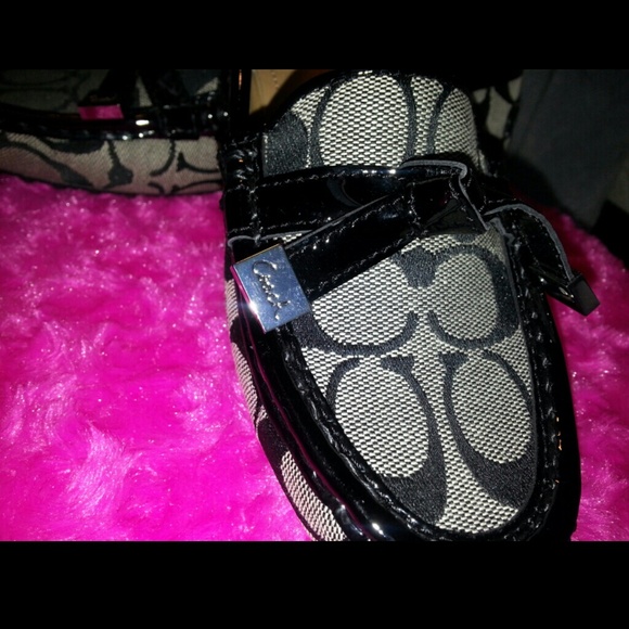 New Coach Frida Loafers  (2 available)