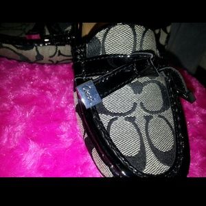 New Coach Frida Loafers  (2 available)