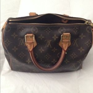 Louis Vuitton Speedy 30 Handbag