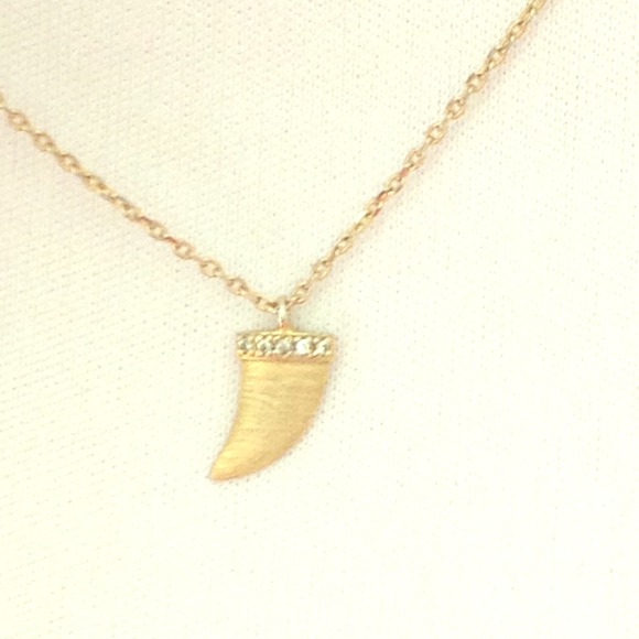 Dogeared horn necklace