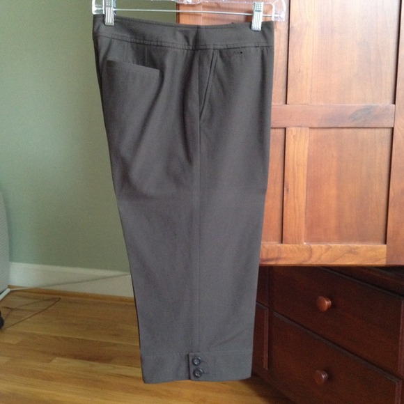 Ann Taylor capris
