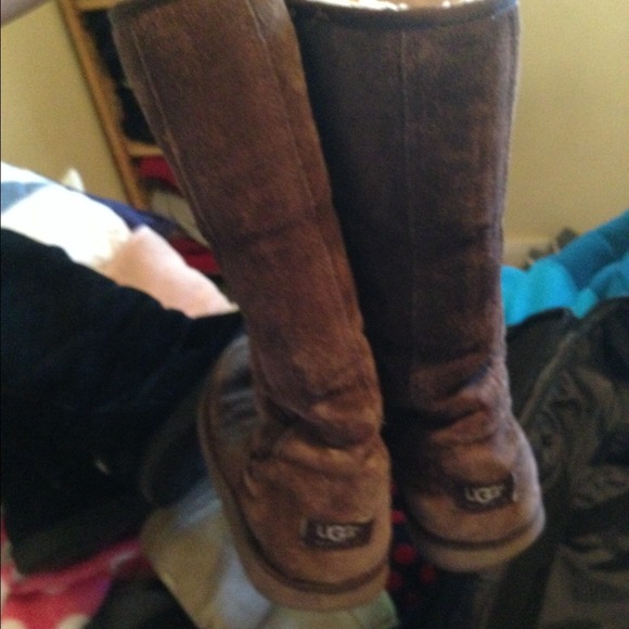 brown tall suede ugg boots - Picture 3 of 3