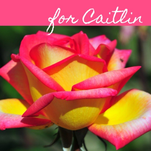 🌸BUNDLE 1~ Floral Skirt 2~ floral dress🌸