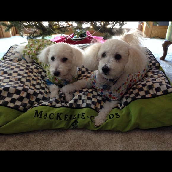 My little clothes critics!!!