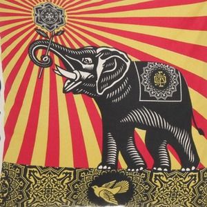 Auth Obey pillow still in bag get for a guys room