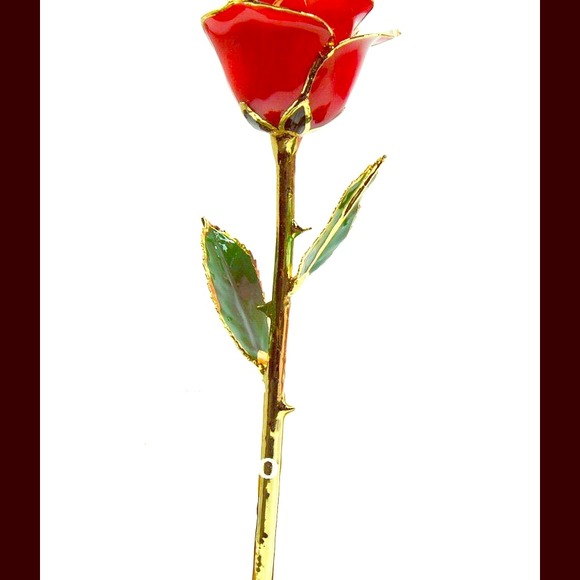 Rose trimmed in 24k gold