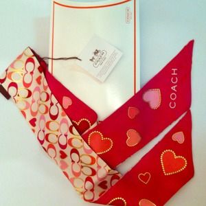 Coach ponytail scarf