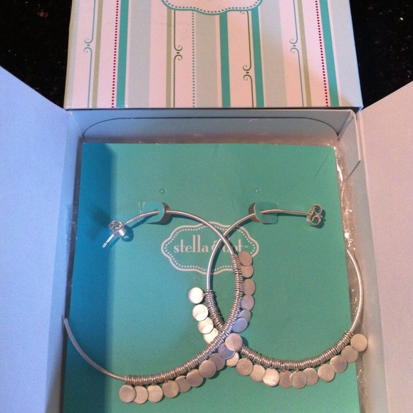 Stella & Dot Jewelry - ☀Stella & Dot Fringe Hoop Earrings Sterling Silver