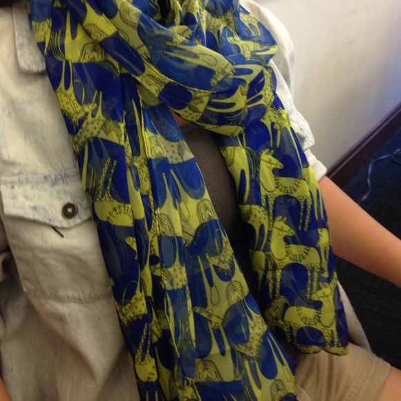 Silk Scarf