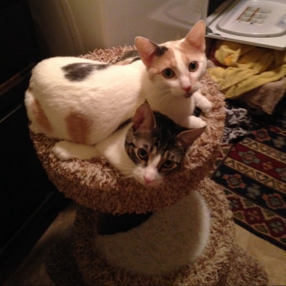 MEET YOUR SELLER - Picture 3 of 4