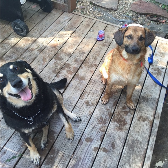 MEET YOUR SELLER - Picture 4 of 4