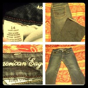 American Eagle Artist