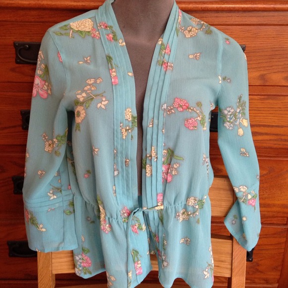 Long sleeved sheer top