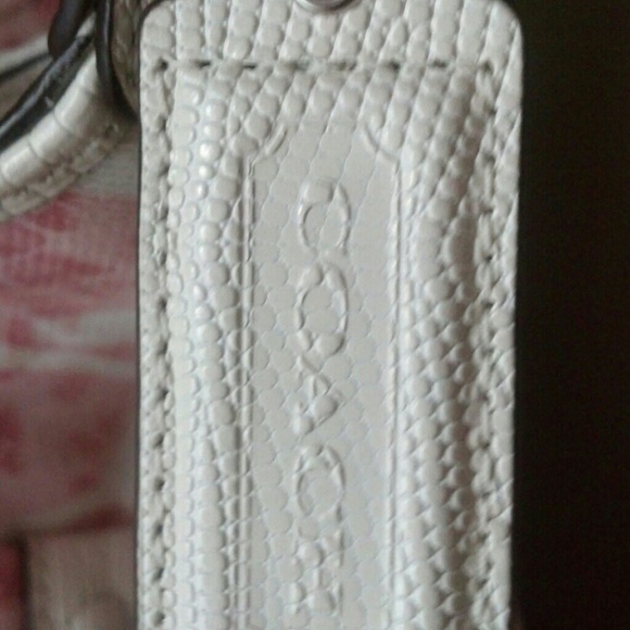 REDUCED! Coach Campbell Snake C Hobo nwt $378 - Picture 4 of 4