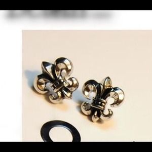 🔥🔥SALE NWT Earrings.