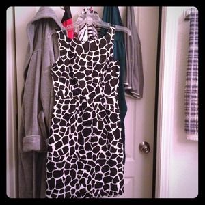 Animal print Ann Taylor dress