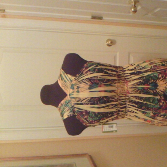 Sundress - Picture 2 of 3