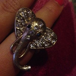 Elephant ring
