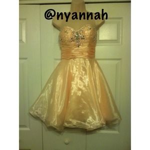 💋 Sheer Pink Dress 💋