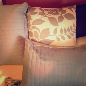 3 Decorative pillows!