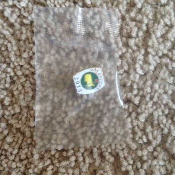 Priceless Masters Tournament 2013 Pin